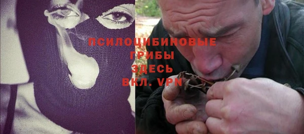 шишки Вяземский
