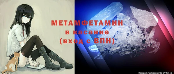 шишки Вяземский