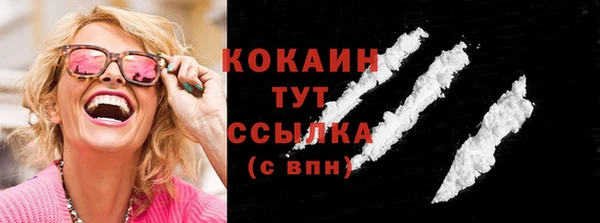 2c-b Горно-Алтайск