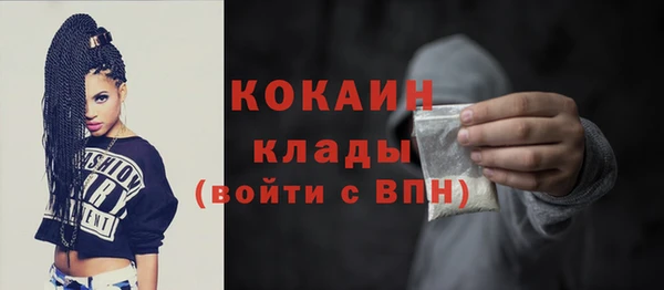 шишки Вяземский