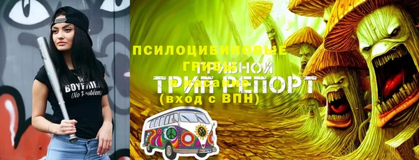 ПСИЛОЦИБИНОВЫЕ ГРИБЫ Вязьма