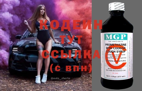шишки Вяземский