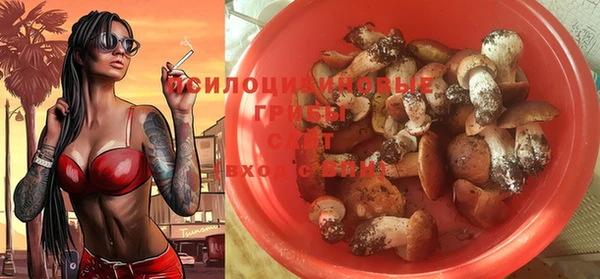 шишки Вяземский