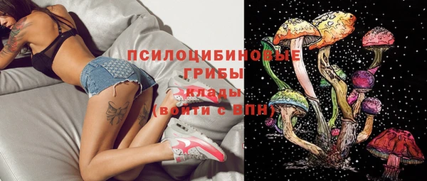 прущая мука Елабуга