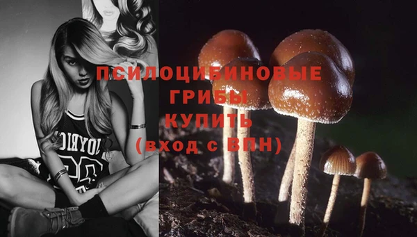 ECSTASY Дмитриев