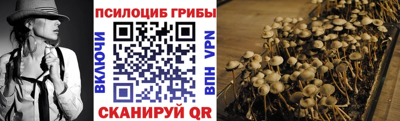 Псилоцибиновые грибы GOLDEN TEACHER где найти Демидов